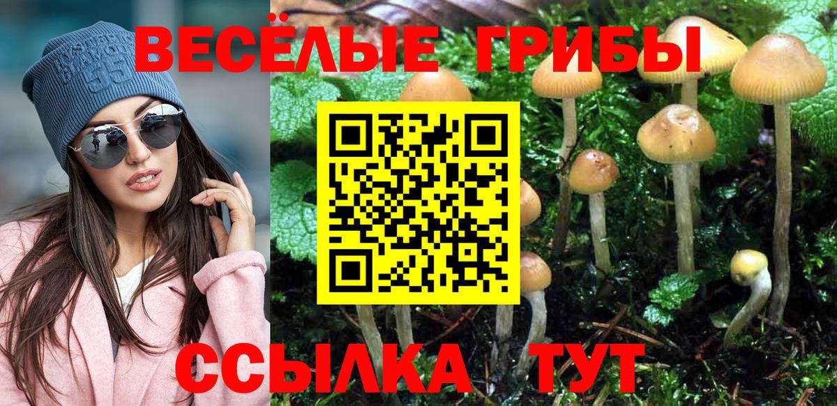 Ялта  Псилоцибиновые грибы GOLDEN TEACHER  Псилоцибиновые грибы ЛСД  закладка  Вход с VPN 