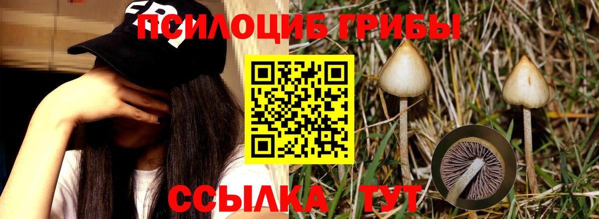 Галлюциногенные грибы мухоморы Ялта
